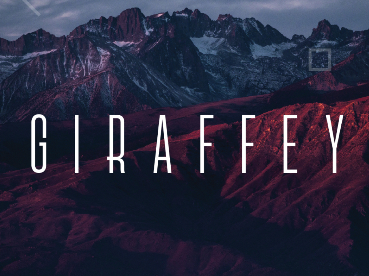 035-giraffey-arial